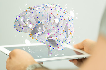 花生的生长过程手抄报