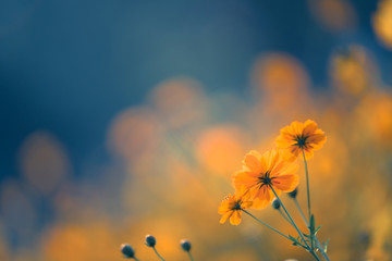 那些朗朗上口的军训霸气口号汇总