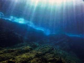 感恩公司最朴实的句子