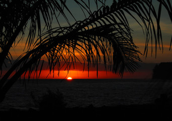 关于艺术的名言警句