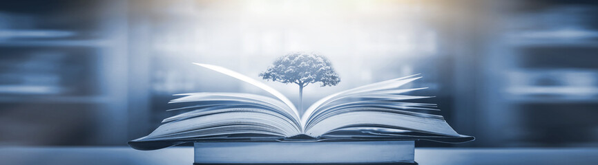 花生的生长过程手抄报