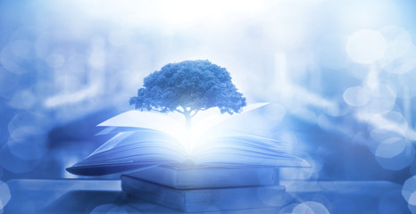 适合发快手的励志 快手发的句子经典语录