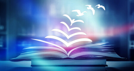 关于篮球的知识