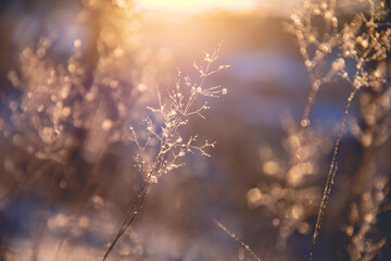 关于艺术的名言警句