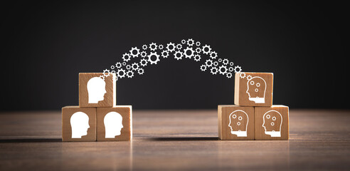 关于篮球的知识