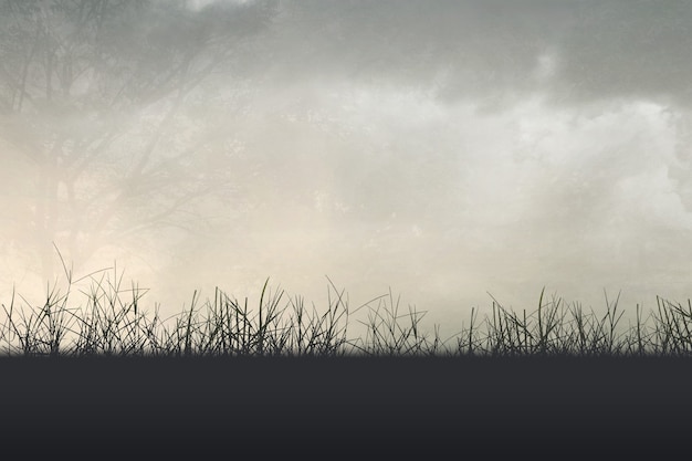 关于篮球的知识