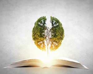 歌颂地质工作者的文章