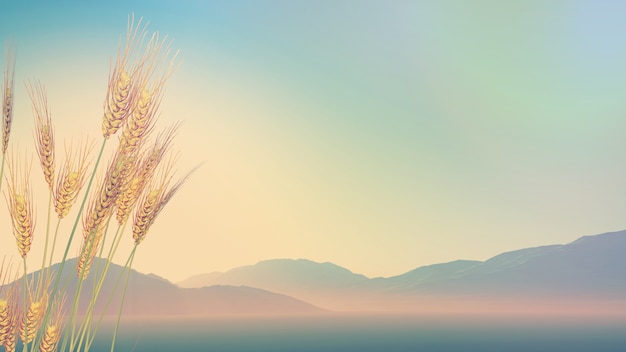 煤矿雨季三防是指什么