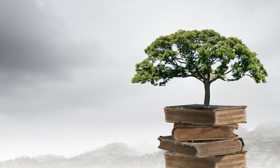 感恩公司最朴实的句子