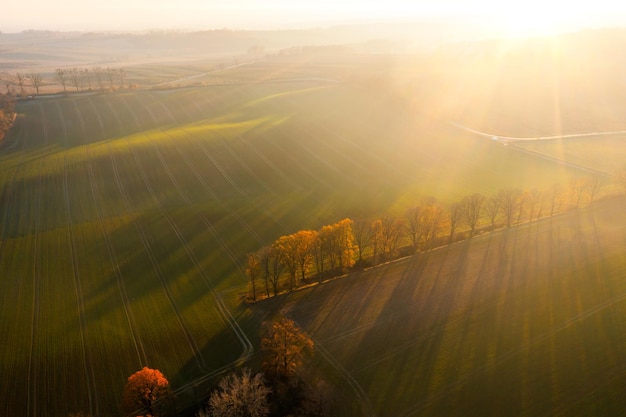 歌颂地质工作者的文章