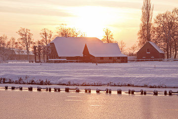 袁隆平趣事有哪些